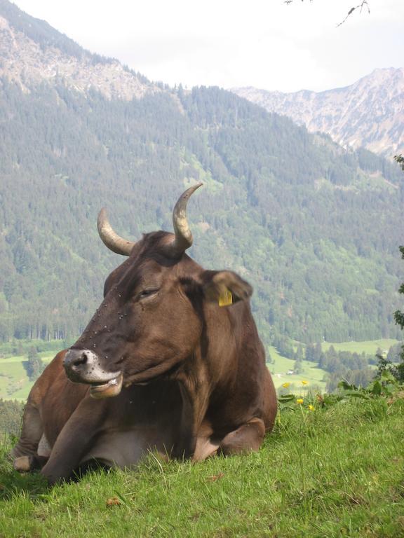 Ferienwohnungen Brunner Fischen im Allgaeu Exterior foto